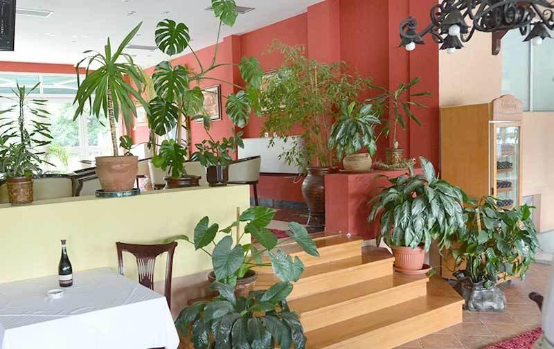 Motel Kneginja Τσάτσακ Εξωτερικό φωτογραφία